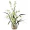19" Green Dancing Lady Orchid Arrangement in Vase